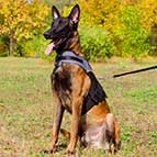 Malinois Nylon Dog Harness for Rehabilitation and Winter Warming