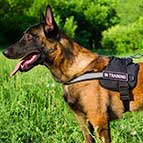 Malinois Multifunctional Nylon Harness with Reflective Strap