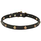 'Elegant Beauty' Fashion Leather Dog Collar with Brass Hardware 4/5 inch (20 mm) Wide