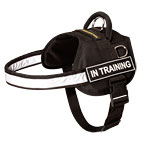 Service Nylon Dog Harness for Any Weather with Reflective Strap