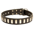 Wide Leather Dog Collar with Goldish Smooth Plates
