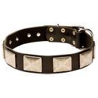 War Style Leather Dog Collar Decorated with Rustless Plates