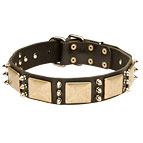 Premium Leather Dog Collar with Antique Decor