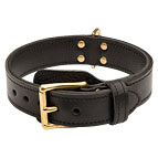 2 ply Leather Agitation Dog Collar