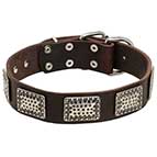 New Design Leather Dog Collar for Comfortable and Stylish Walks