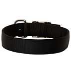 Nylon Dog Collar for Any Weather Walking and Training