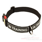 Strong All Weather Nylon Dog Collar with Patches and Quick Release Buckle