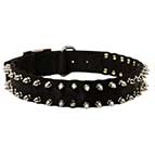 Black Nylon Dog Collar with Spikes