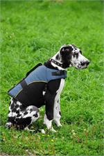 30% Discount - NEW 2017 All Season Extra Strong Nylon Vest Dog Harness- H13-Outdoor