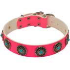 Pink Leather Dog Collar with Studs for Walking