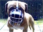 Basket Wire Dog Muzzle Light for Pit Bull - B1, B2, B3-M4light