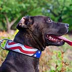 Pitbull Handpainted Leather Collar - American Pride Style