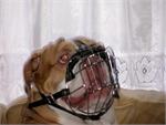 Duke wearing our exclusive Wire Basket Dog Muzzles Size Chart Boxer muzzle M4
