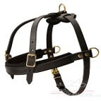 Pointer Pulling/Tracking Leather Dog Harness - Pointer Training Harness
