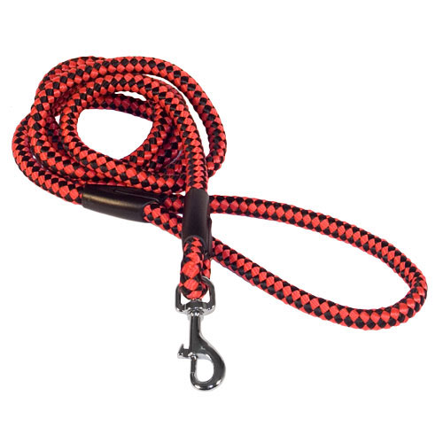 Bright Nylon Cord Dog Leash with Strong Snap Hook