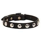 Elegant Leather Dog Collar with Nickel Half-Ball Studs for Everyday Walking