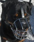 Ares loves new Basket Dog Muzzle (All Sizes)
