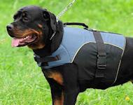 Wear-and-tear resistant Rottweiler Nylon Vest Harness perfect for all seasons