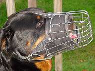 Basket wire dog muzzle perfect for Rottie - M90
