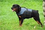 30% Discount - NEW 2017 All Season Extra Strong Nylon Vest Dog Harness for Rottweiler- H13-Outdoor