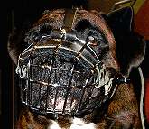 Wire Basket Dog Muzzles Size Chart - M4light_2