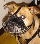 Gorgeous Snoop wearing our Wire Basket Dog Muzzles Size Chart - M4light