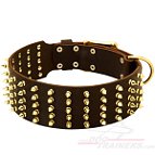 Fantastic Wide Leather Collar with Brass Spikes and Hardware