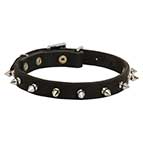 Spiked Thin Leather Collar perfect for Walking Small and Medium Dog Breeds