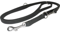 Astonishing Leather Dog Leash