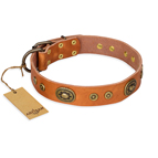 ‘Dandy Pet’ FDT Artisan Handcrafted Tan Leather Dog Collar