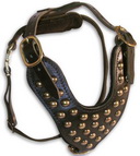 Luxury Studded Leather Dog Harness for Daily Wearing
