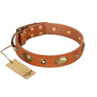 “Visual Magic” FDT Artisan Tan Leather Dog Collar for Daily Activities- 1 1/2 inch (40 mm) wide