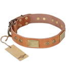 ‘The Middle Ages’ FDT Artisan Handcrafted Tan Leather Dog Collar