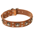 'Rock n Roll' Leather Dog Collar - Cool Mix of Decorations