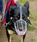 Lightweight Wire Cage Dog Muzzle for Free Breathing