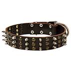 Trendy Leather Dog Collar with Mix of Studs and Spikes