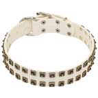 White Leather Dog Collar with Old Nickel Square Studs for Daily Walking - NEW OFFER
