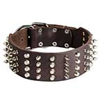 Extra Wide Leather Spiked and Studded Dog Collar - 2 inch