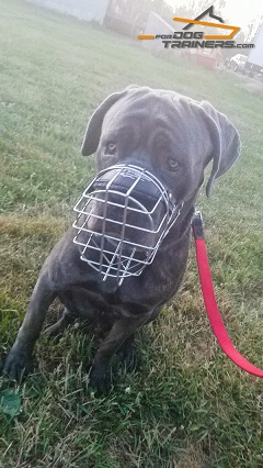 Multipurpose Super Comfortable Wire Cage Muzzle Specially Designed for Mastiff