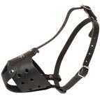 Comfortable Everyday Adjustable Leather Muzzle for Dog Training