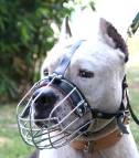 American Staffordshire Terrier Wire Basket Dog Muzzles Size Chart -American Staffordshire Terrier muzzle_1
