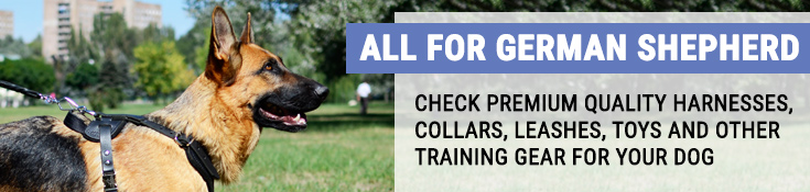 Check Premium Quality Harnesses, Collars, Leashes, Toys and Other Training Gear for Your Dog!
