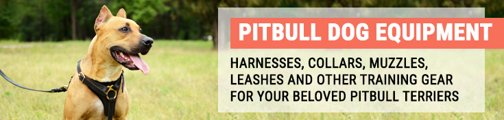 Pitbull Dog Equipment - Harnesses, Collars, Muzzles, Leashes and Other Training Gear for Your Beloved Pitbull Terriers
