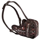 Unique Painted Leather Muzzle for Dog Training