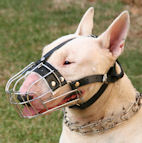 Bull Terrier Wire Basket Dog Muzzles Size Chart Bull Terrier muzzle - M4light