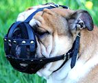Padded Leather Basket Dog Muzzle for Daily Walks and Training
