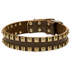 "Caterpillar" Designer Leather Dog Collar with Square Brass Studs