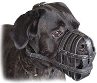 Cane Corso Everyday Light Weight Super Ventilation dog muzzle