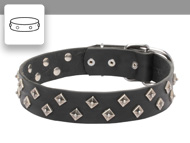 Studded Dog Collars