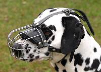 Basket Wire Dog Muzzle Light For Dalmatian - M4light